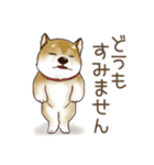 笑う門には♡柴犬さん【やや辛口】（個別スタンプ：27）
