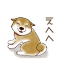 笑う門には♡柴犬さん【やや辛口】（個別スタンプ：28）