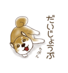 笑う門には♡柴犬さん【やや辛口】（個別スタンプ：29）
