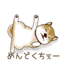 笑う門には♡柴犬さん【やや辛口】（個別スタンプ：31）