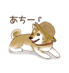 笑う門には♡柴犬さん【やや辛口】（個別スタンプ：32）