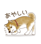 笑う門には♡柴犬さん【やや辛口】（個別スタンプ：33）