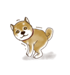 笑う門には♡柴犬さん【やや辛口】（個別スタンプ：35）