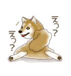 笑う門には♡柴犬さん【やや辛口】（個別スタンプ：38）