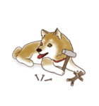 笑う門には♡柴犬さん【やや辛口】（個別スタンプ：39）
