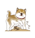 笑う門には♡柴犬さん【やや辛口】（個別スタンプ：40）