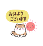 【大人の気遣い】敬語♡まるまる豆柴（個別スタンプ：1）