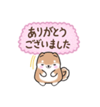 【大人の気遣い】敬語♡まるまる豆柴（個別スタンプ：10）
