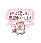 【大人の気遣い】敬語♡まるまる豆柴（個別スタンプ：12）
