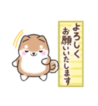 【大人の気遣い】敬語♡まるまる豆柴（個別スタンプ：15）