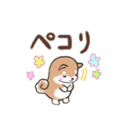 【大人の気遣い】敬語♡まるまる豆柴（個別スタンプ：16）