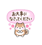 【大人の気遣い】敬語♡まるまる豆柴（個別スタンプ：17）