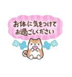 【大人の気遣い】敬語♡まるまる豆柴（個別スタンプ：20）