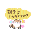 【大人の気遣い】敬語♡まるまる豆柴（個別スタンプ：21）