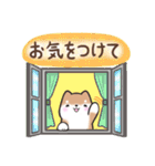 【大人の気遣い】敬語♡まるまる豆柴（個別スタンプ：22）