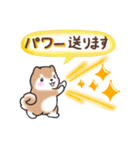 【大人の気遣い】敬語♡まるまる豆柴（個別スタンプ：25）