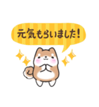 【大人の気遣い】敬語♡まるまる豆柴（個別スタンプ：26）