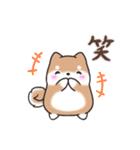 【大人の気遣い】敬語♡まるまる豆柴（個別スタンプ：30）