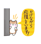 【大人の気遣い】敬語♡まるまる豆柴（個別スタンプ：32）