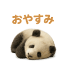 毎日使える♪ゆるっとパンダ（個別スタンプ：4）