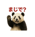 毎日使える♪ゆるっとパンダ（個別スタンプ：30）