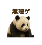 毎日使える♪ゆるっとパンダ（個別スタンプ：31）
