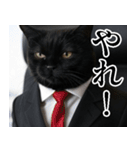 猫ミーム【毎日使える・スーツ猫・煽り】（個別スタンプ：1）