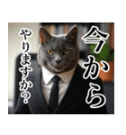 猫ミーム【毎日使える・スーツ猫・煽り】（個別スタンプ：2）