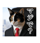 猫ミーム【毎日使える・スーツ猫・煽り】（個別スタンプ：3）