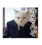 猫ミーム【毎日使える・スーツ猫・煽り】（個別スタンプ：4）