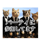 猫ミーム【毎日使える・スーツ猫・煽り】（個別スタンプ：8）