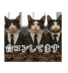 猫ミーム【毎日使える・スーツ猫・煽り】（個別スタンプ：9）