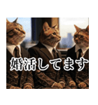 猫ミーム【毎日使える・スーツ猫・煽り】（個別スタンプ：10）