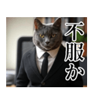 猫ミーム【毎日使える・スーツ猫・煽り】（個別スタンプ：12）