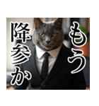 猫ミーム【毎日使える・スーツ猫・煽り】（個別スタンプ：13）