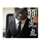 猫ミーム【毎日使える・スーツ猫・煽り】（個別スタンプ：14）