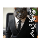 猫ミーム【毎日使える・スーツ猫・煽り】（個別スタンプ：16）