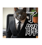 猫ミーム【毎日使える・スーツ猫・煽り】（個別スタンプ：26）