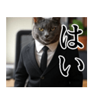 猫ミーム【毎日使える・スーツ猫・煽り】（個別スタンプ：28）