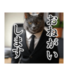 猫ミーム【毎日使える・スーツ猫・煽り】（個別スタンプ：31）