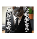 猫ミーム【毎日使える・スーツ猫・煽り】（個別スタンプ：32）