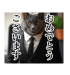 猫ミーム【毎日使える・スーツ猫・煽り】（個別スタンプ：33）