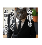 猫ミーム【毎日使える・スーツ猫・煽り】（個別スタンプ：35）
