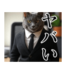 猫ミーム【毎日使える・スーツ猫・煽り】（個別スタンプ：38）
