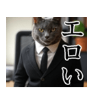 猫ミーム【毎日使える・スーツ猫・煽り】（個別スタンプ：39）