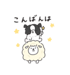 もふもふボーダーコリーの使えるスタンプ（個別スタンプ：3）