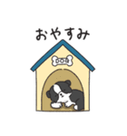 もふもふボーダーコリーの使えるスタンプ（個別スタンプ：4）