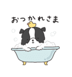 もふもふボーダーコリーの使えるスタンプ（個別スタンプ：5）