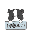 もふもふボーダーコリーの使えるスタンプ（個別スタンプ：14）