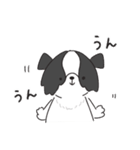 もふもふボーダーコリーの使えるスタンプ（個別スタンプ：18）